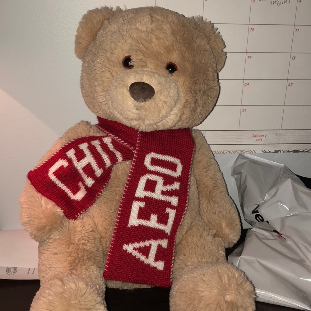 Teddy bear